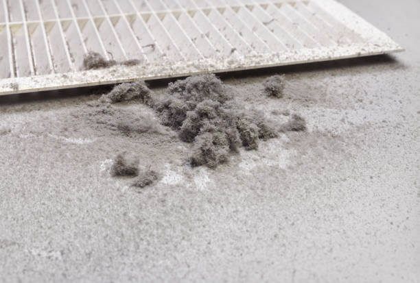 Best Local Air Duct Cleaning Services  in Bee Ridge, FL