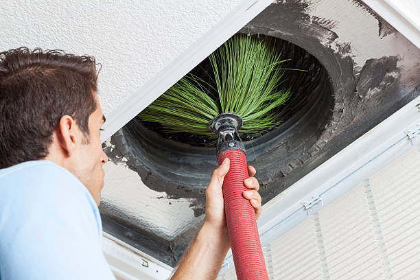 Best Air Duct Cleaning Near Me  in Bee Ridge, FL